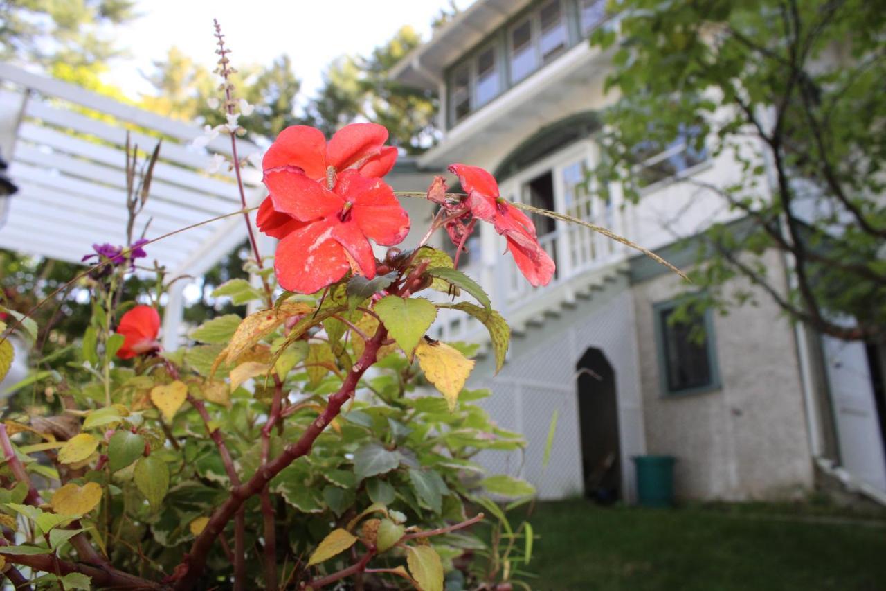 The Hillside B&B. Home W/ Breakfast Service! Wisconsin Dells Exteriör bild